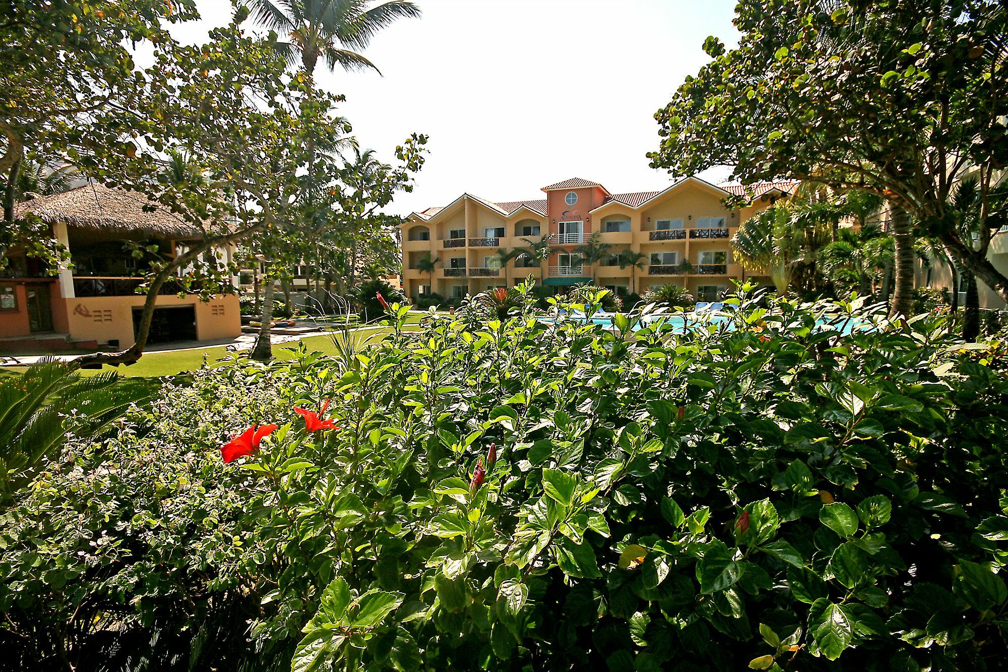 Agualina Kite Resort Кабарете Екстериор снимка